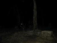 Chicago Ghost Hunters Group investigates Bachelors Grove (18).JPG